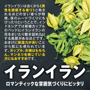 アダルト雑貨
