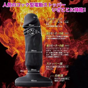 バックファイアー10 エイナスコック - Image 4