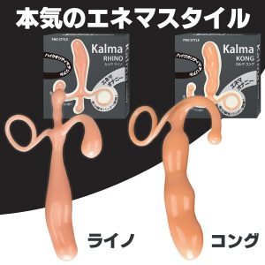 初心者向き