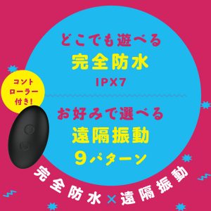初心者向き
