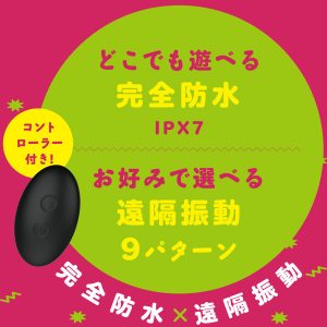 初心者向き