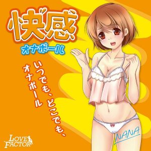 大人のおもちゃ