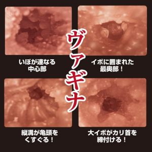 オナホール