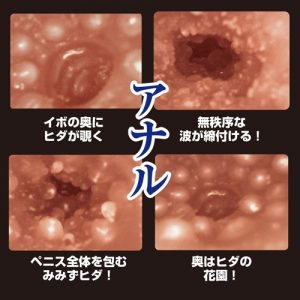 大型（オナホール）