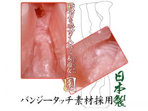 WAZ後櫓