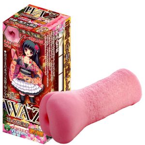 WAZ絞り芙蓉