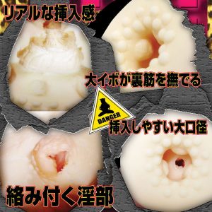 ソフトタイプ