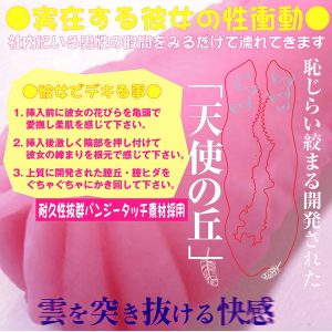 ソフトタイプ