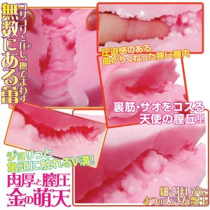 ソフトタイプ