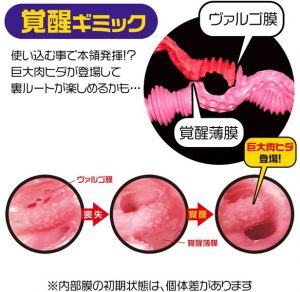オナホール