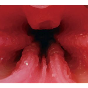 床オナ式名器-種付けプレス-【HARD】 - Image 5