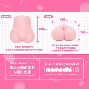 Wホール
