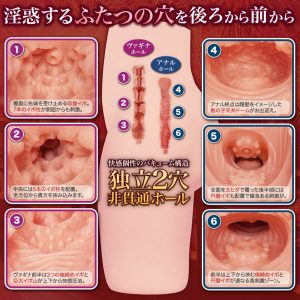 大型ホール特集