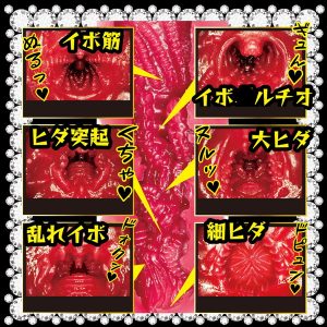 美人メイド 名器で即ハメご奉仕！ 枢木あおい
