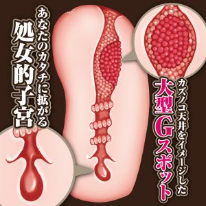 オナホール