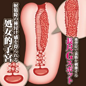 オナホール