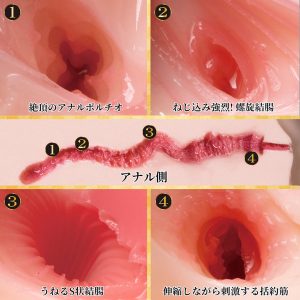 大型（オナホール）