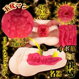 女優系商品