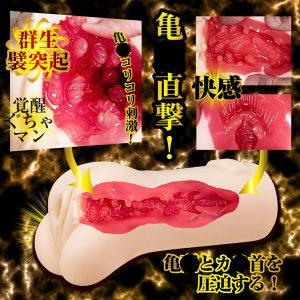 女優系商品