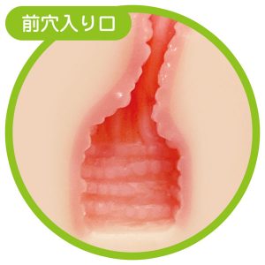 大型ホール特集