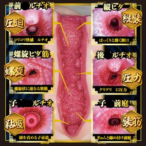 オナホール