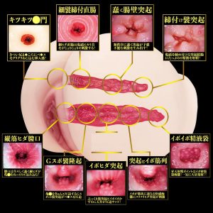 大型（オナホール）