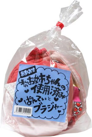 私のお姉ちゃんの使用済みパンティーとブラジャー（秘密のおまけ付き）加工品