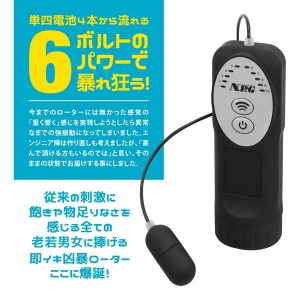 激震注意 6ボルト シングルローター