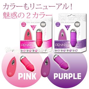 大人のおもちゃ