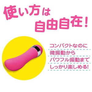 大人のおもちゃ