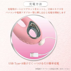 初心者向き