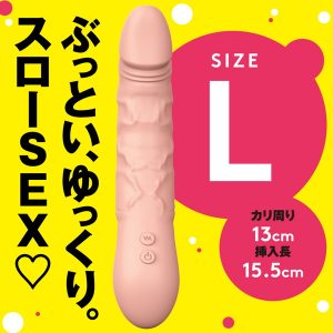 大人のおもちゃ