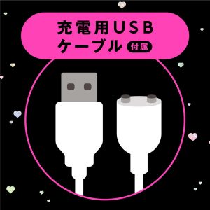 大人のおもちゃ