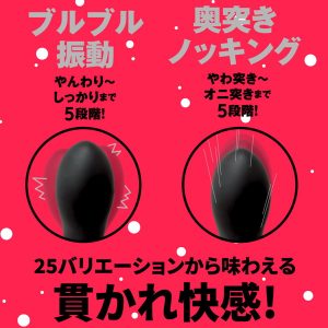 大人のおもちゃ