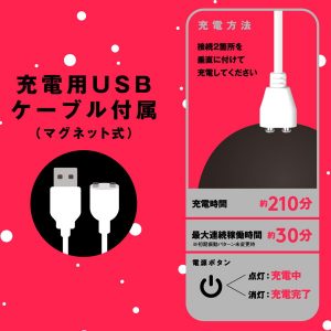 完全防水 LINEAR PISTON VIBE 25 ［リニアピストンバイブ25］